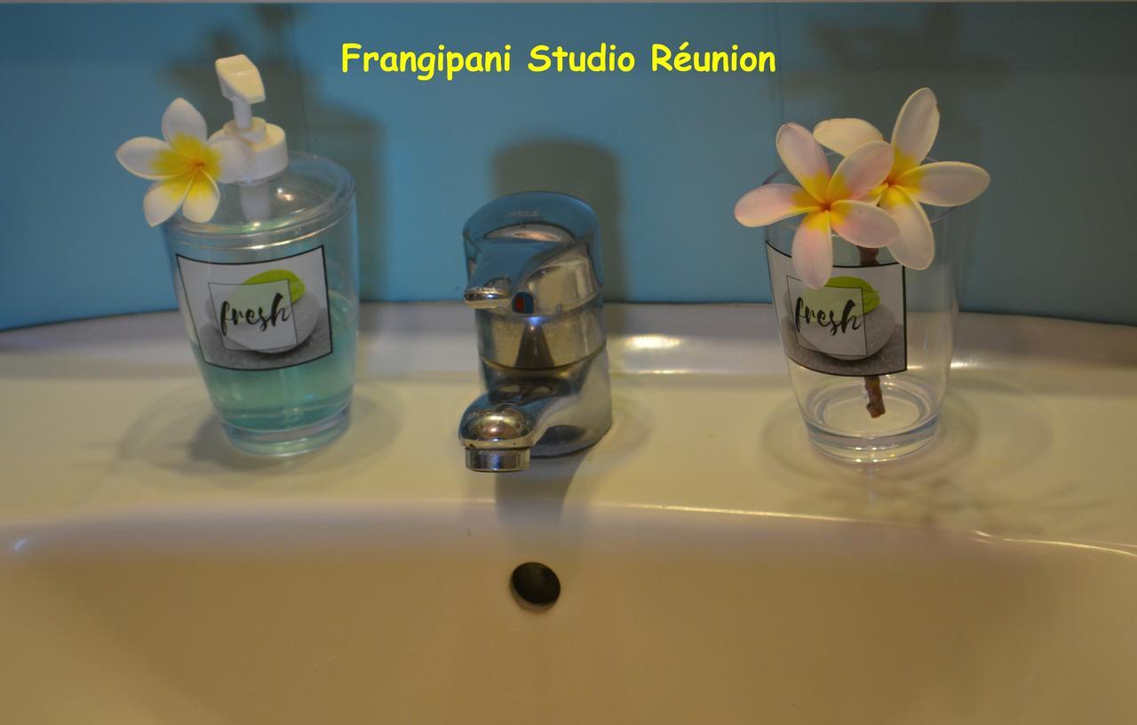 Frangipani Studio Reunion Apartment La Saline Le Bains Ngoại thất bức ảnh